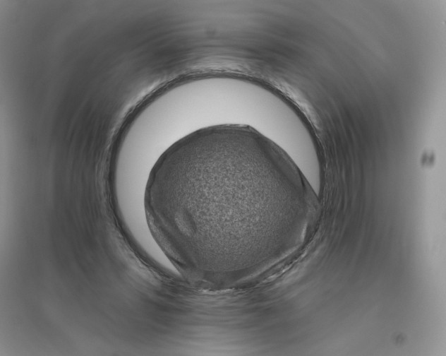 X0000096410399200802071659