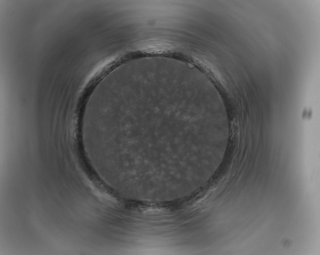 X0000096410400200802071659