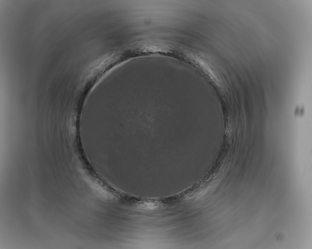 X0000096410402200802071659