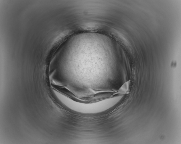 X0000096410404200802071659