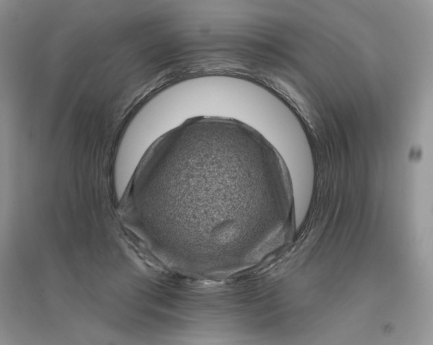 X0000096410405200802071659