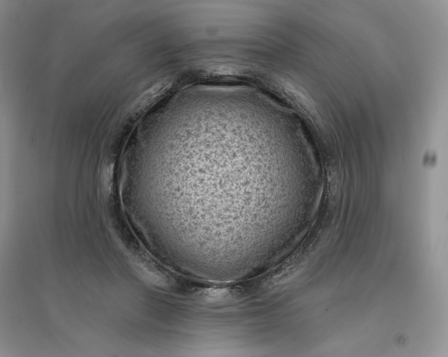 X0000096410406200802071659