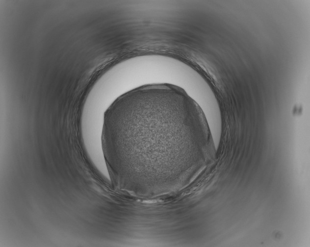 X0000096410407200802071659