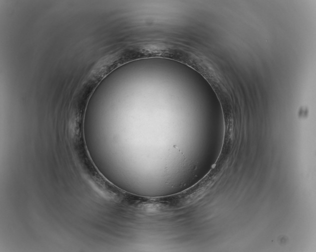 X0000096410408200802071659