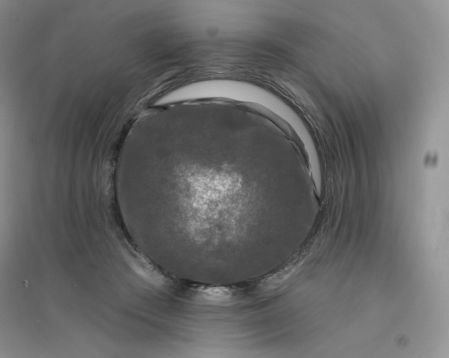 X0000096410409200802071659