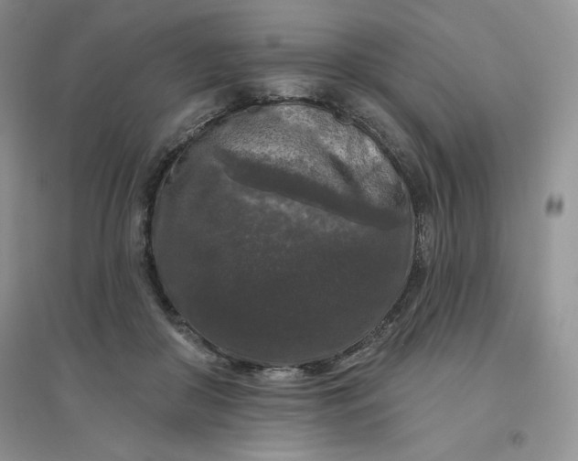 X0000096410410200802071659