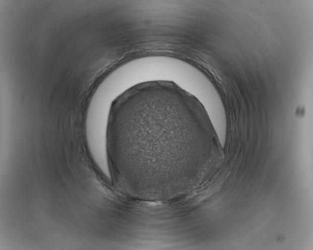 X0000096410411200802071659