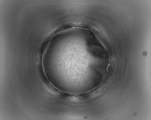 X0000096410412200802071659