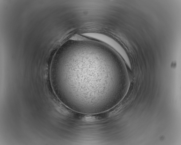 X0000096410413200802071659