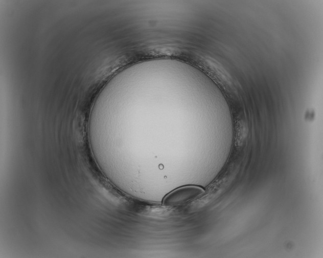 X0000096410414200802071659