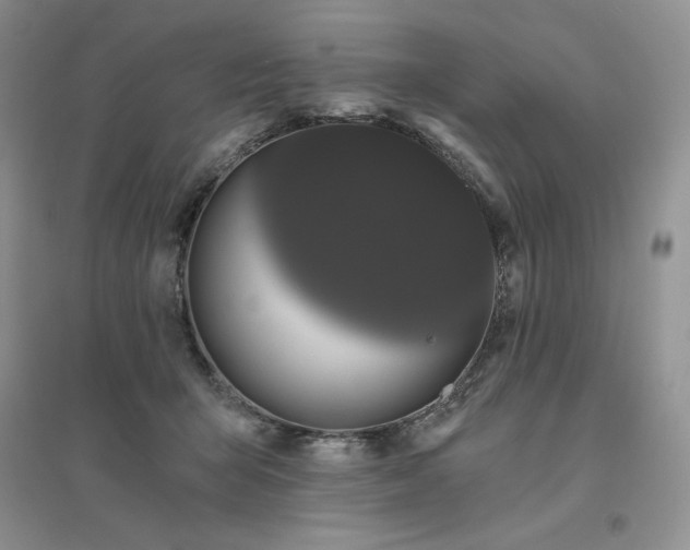 X0000096410415200802071659