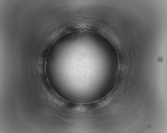 X0000096410416200802071659