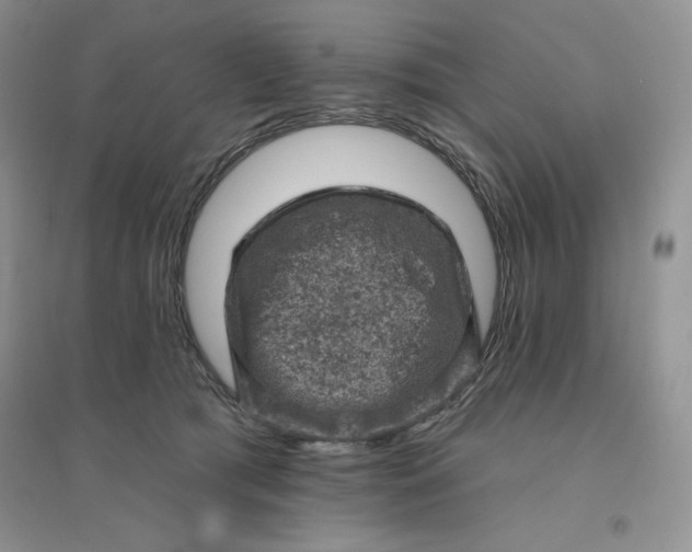 X0000096410417200802071659