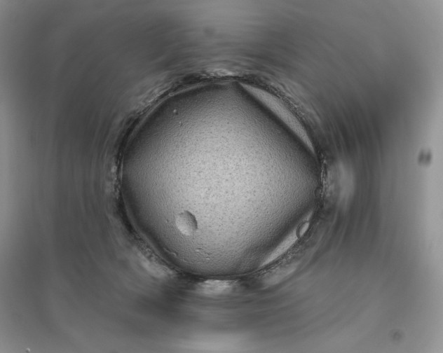 X0000096410418200802071659