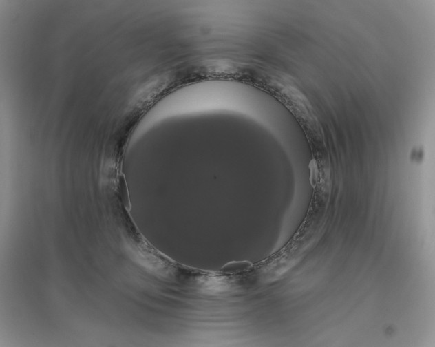 X0000096410419200802071659