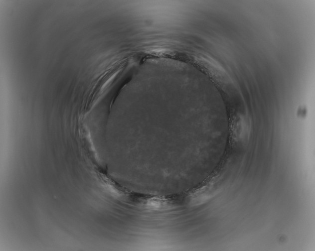 X0000096410420200802071659