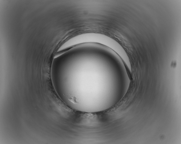 X0000096410421200802071659