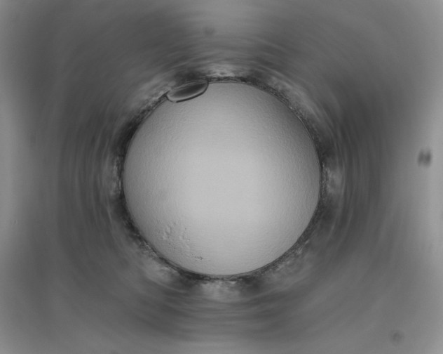 X0000096410422200802071659