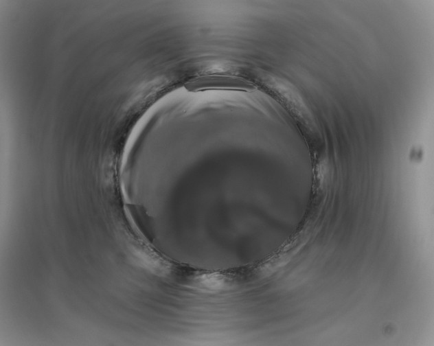 X0000096410423200802071659