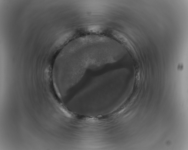 X0000096410424200802071658