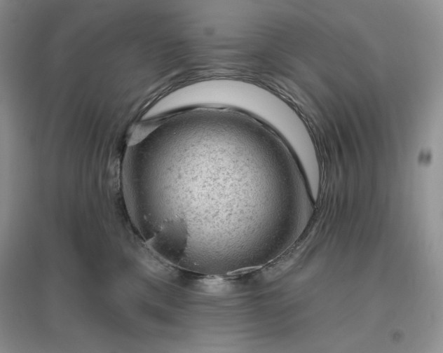 X0000096410425200802071658