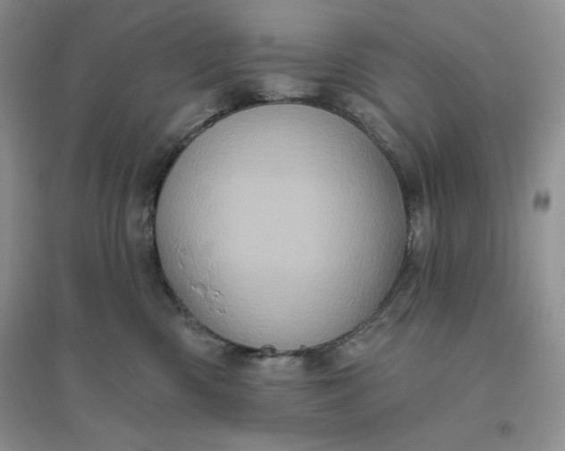 X0000096410426200802071658