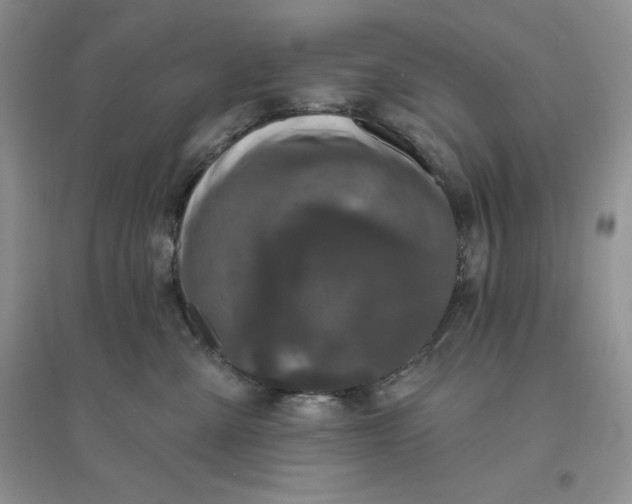 X0000096410427200802071658