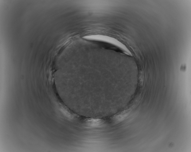 X0000096410428200802071658