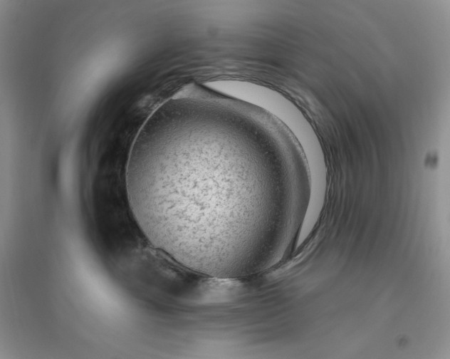 X0000096410429200802071658