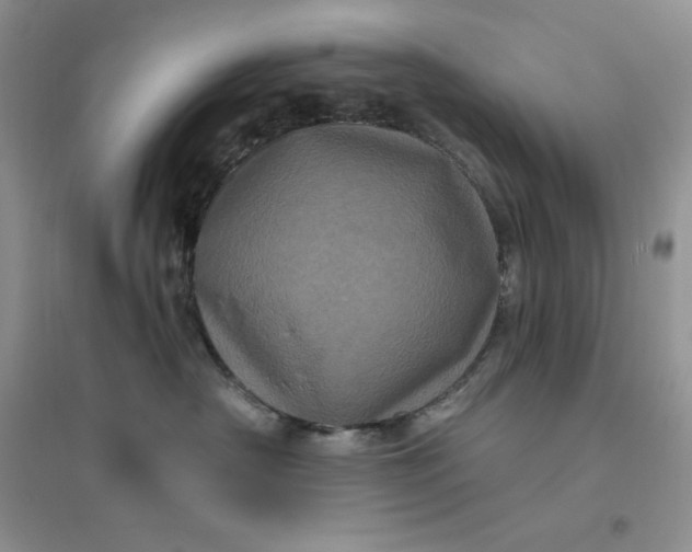 X0000096410430200802071658