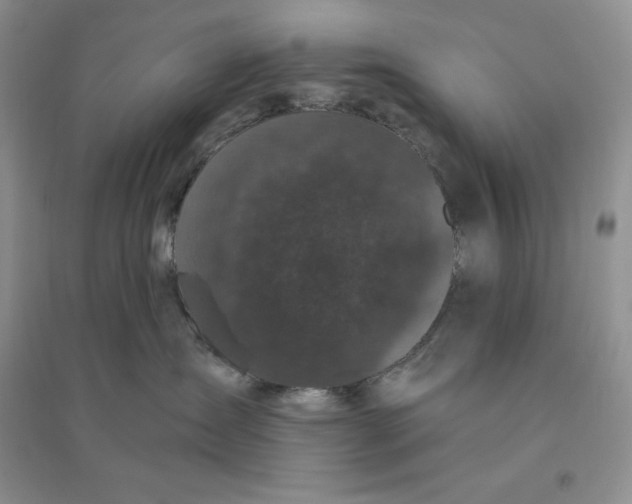 X0000096410431200802071658