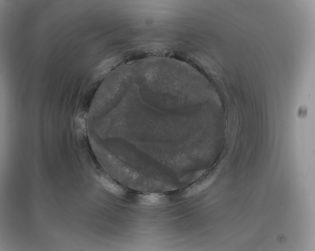 X0000096410432200802071658