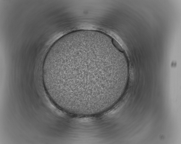 X0000096410433200802071658