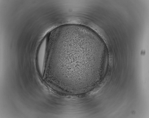 X0000096410434200802071658