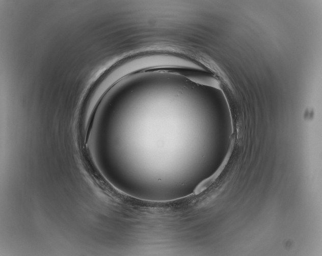 X0000096410436200802071658