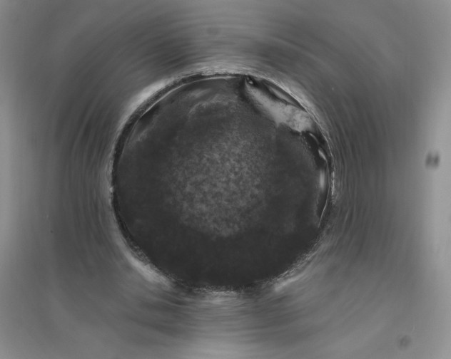 X0000096410438200802071658