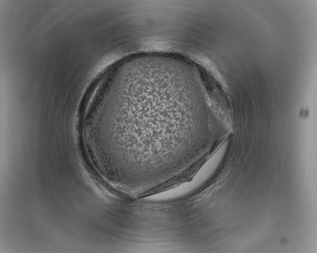 X0000096410439200802071658