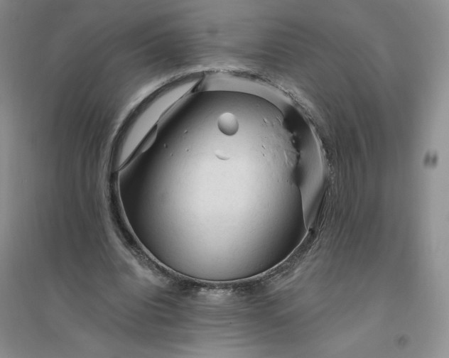 X0000096410440200802071658