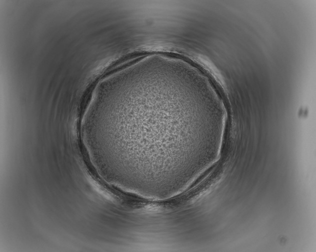 X0000096410441200802071658