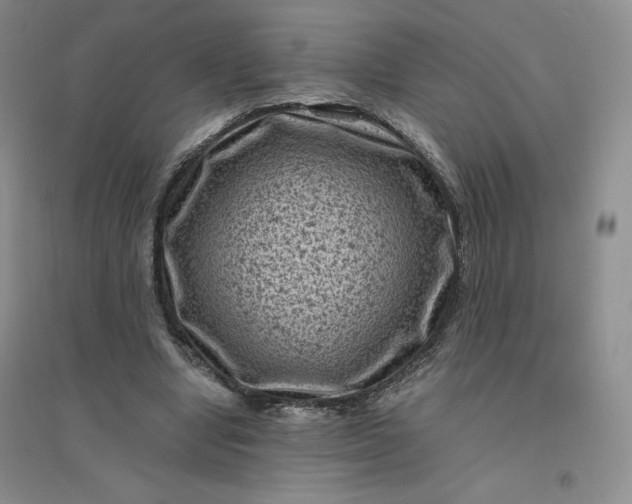 X0000096410442200802071658