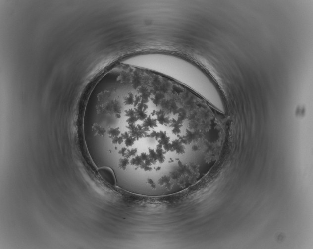 X0000096410443200802071658