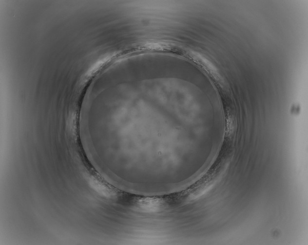 X0000096410444200802071658