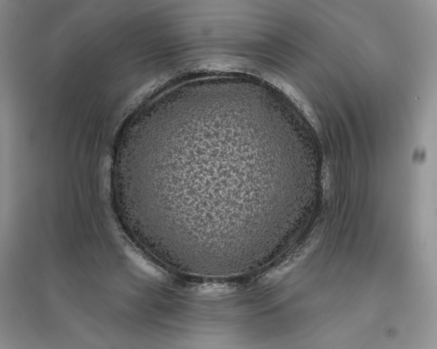 X0000096410445200802071658