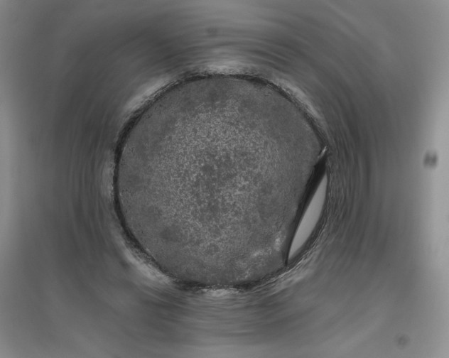 X0000096410446200802071658