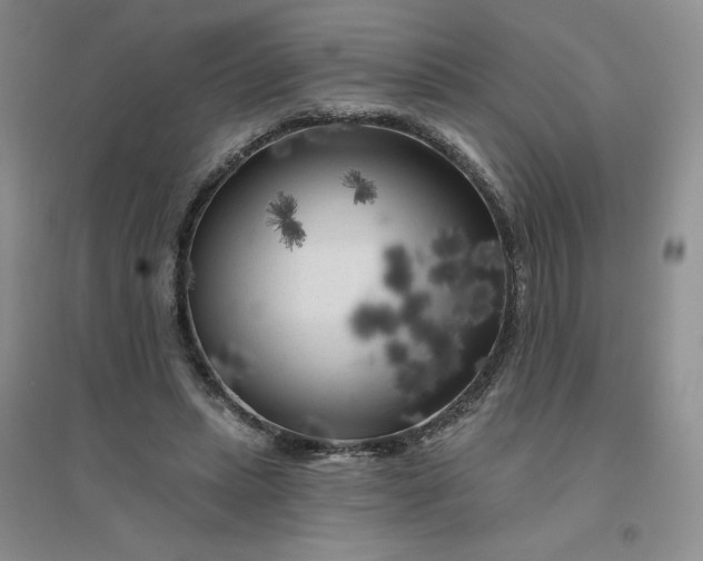 X0000096410447200802071658