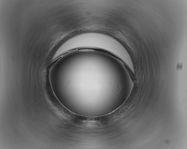 X0000096410448200802071658