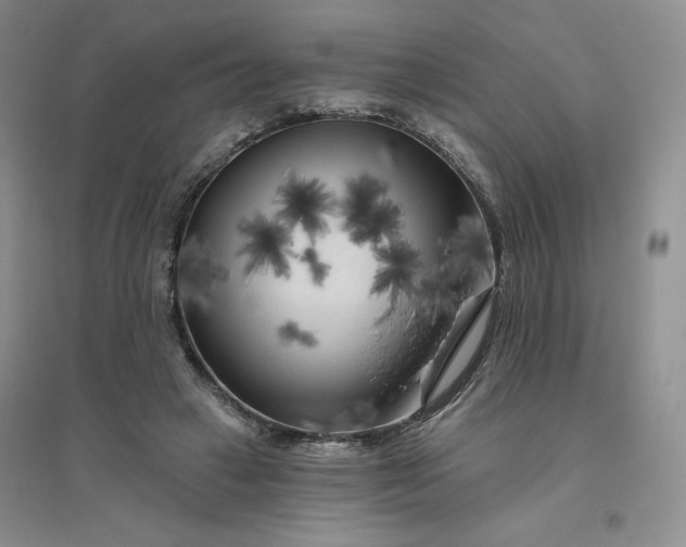 X0000096410449200802071658