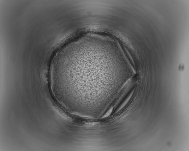 X0000096410450200802071658