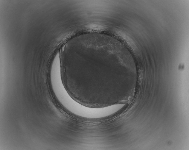 X0000096410451200802071658