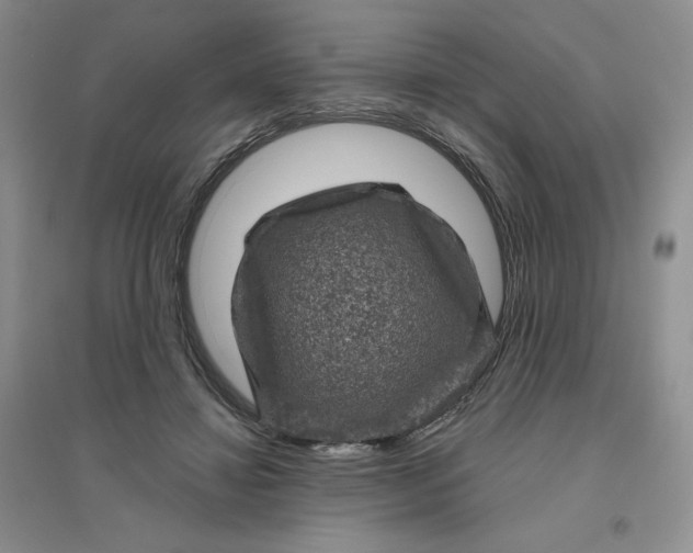 X0000096410452200802071658